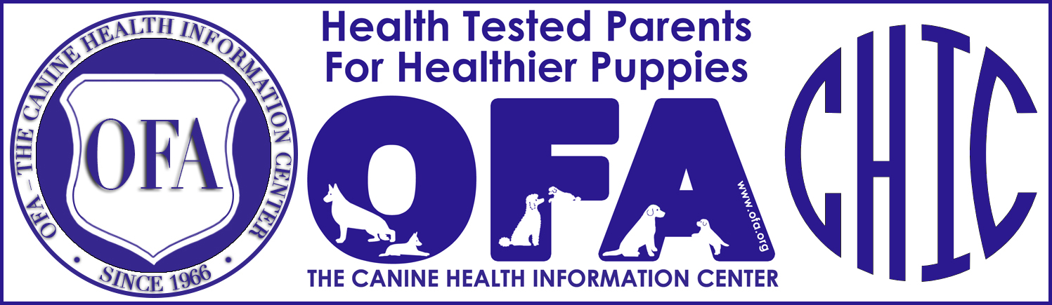 Health Tested Cavalier King Charles Spaniel Puppies