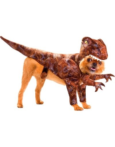 Dog Raptor costume