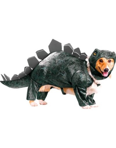 Dog Stegosaurus costume
